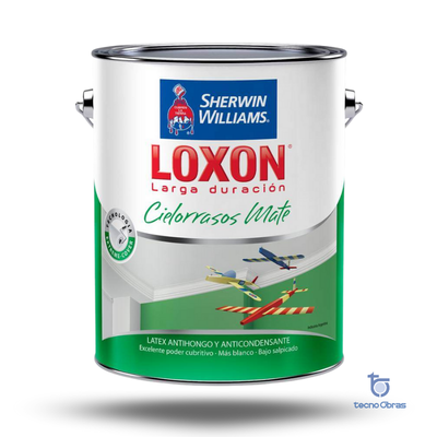 Loxon Larga Duración Cielorrasos SW